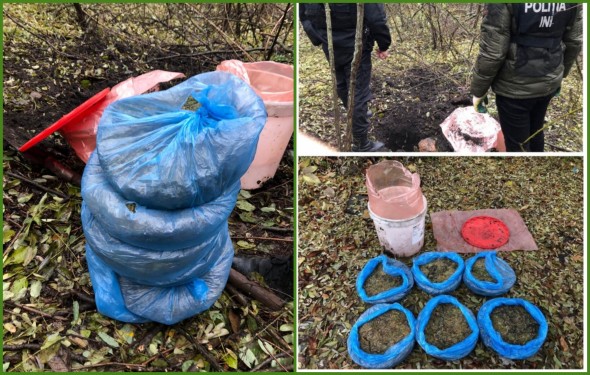 Încă un suspect reținut de polițiști și procurori în cazul unei grupări specializate în cultivarea, prelucrarea și comercializarea marijuanei